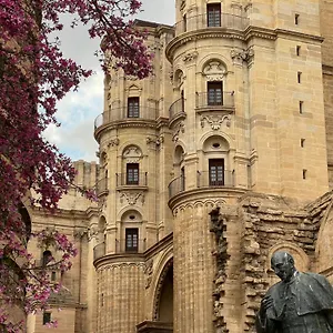 https://letmalaga-cathedral.es-andalucia.com